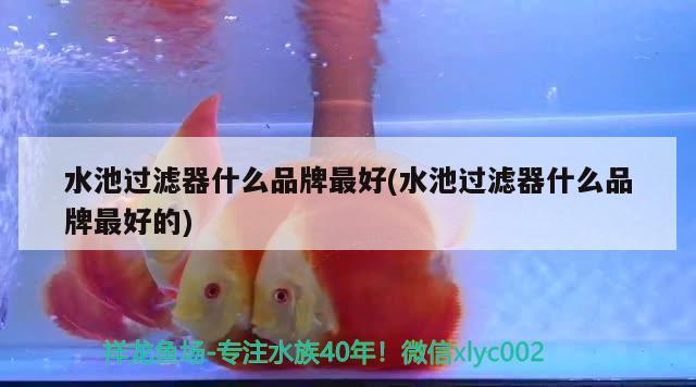 水池過濾器什么品牌最好(水池過濾器什么品牌最好的) 魚缸凈水劑