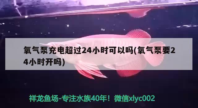 氧氣泵充電超過24小時可以嗎(氧氣泵要24小時開嗎) 夢幻雷龍魚