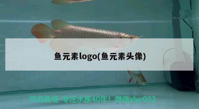 魚元素logo(魚元素頭像) 彩鰈魚缸（彩蝶魚缸）