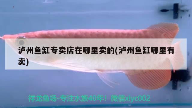 瀘州魚缸專賣店在哪里賣的(瀘州魚缸哪里有賣) 祥龍水族醫(yī)院