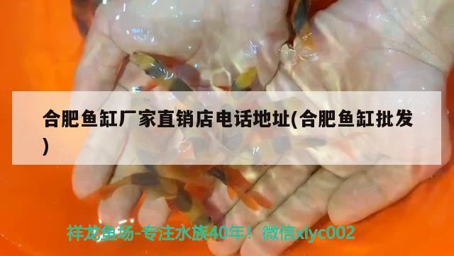 合肥魚缸廠家直銷店電話地址(合肥魚缸批發(fā))