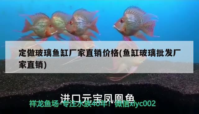 定做玻璃魚缸廠家直銷價(jià)格(魚缸玻璃批發(fā)廠家直銷) 飛鳳魚苗