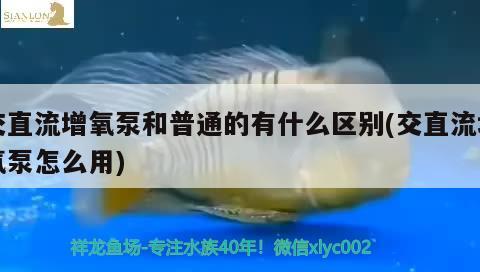 交直流增氧泵和普通的有什么區(qū)別(交直流增氧泵怎么用) 全國水族館企業(yè)名錄