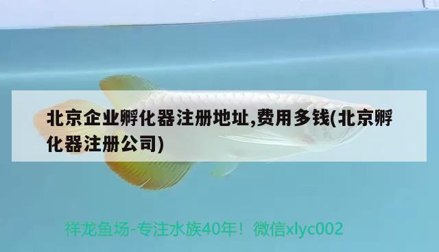 北京企業(yè)孵化器注冊(cè)地址,費(fèi)用多錢(北京孵化器注冊(cè)公司) 孵化器