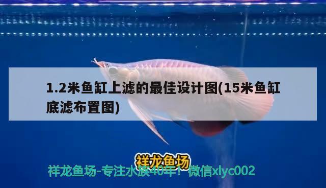 1.2米魚缸上濾的最佳設(shè)計(jì)圖(15米魚缸底濾布置圖) 祥龍金禾金龍魚