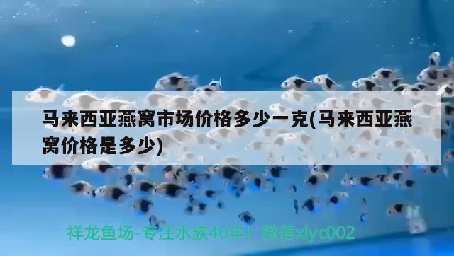 馬來西亞燕窩市場價格多少一克(馬來西亞燕窩價格是多少) 馬來西亞燕窩