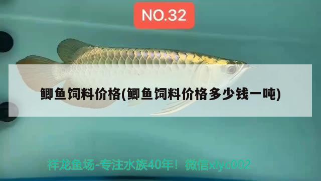 鯽魚飼料價(jià)格(鯽魚飼料價(jià)格多少錢一噸) 圖騰金龍魚