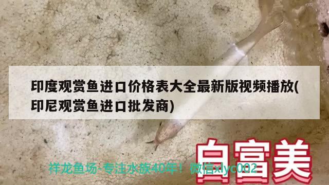 印度觀賞魚進口價格表大全最新版視頻播放(印尼觀賞魚進口批發(fā)商) 觀賞魚進出口