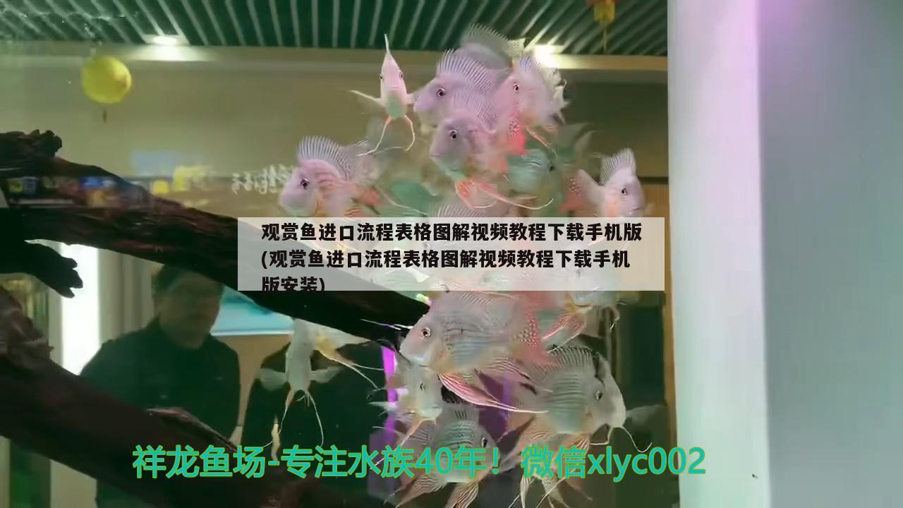 觀賞魚(yú)進(jìn)口流程表格圖解視頻教程下載手機(jī)版(觀賞魚(yú)進(jìn)口流程表格圖解視頻教程下載手機(jī)版安裝) 觀賞魚(yú)進(jìn)出口