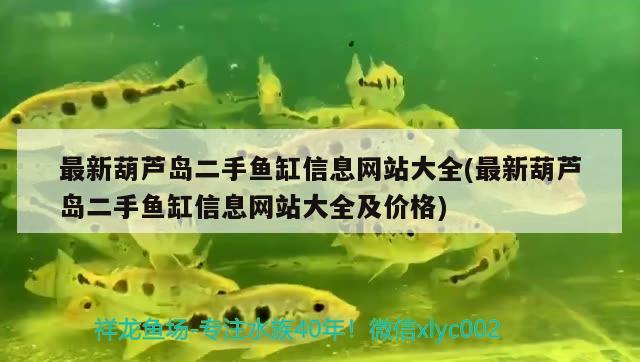 最新葫蘆島二手魚缸信息網(wǎng)站大全(最新葫蘆島二手魚缸信息網(wǎng)站大全及價(jià)格) 黑桃A魚