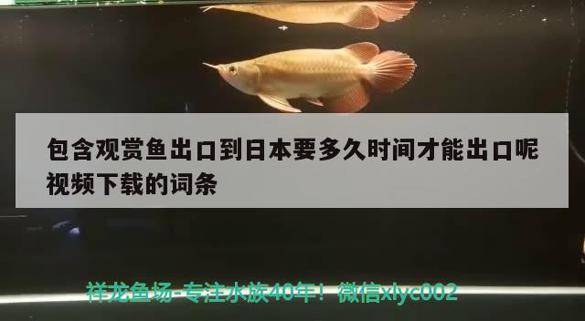 包含觀賞魚出口到日本要多久時(shí)間才能出口呢視頻下載的詞條 觀賞魚進(jìn)出口