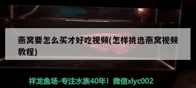 燕窩要怎么買才好吃視頻(怎樣挑選燕窩視頻教程) 馬來西亞燕窩