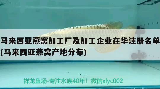 馬來西亞燕窩加工廠及加工企業(yè)在華注冊名單(馬來西亞燕窩產地分布) 馬來西亞燕窩