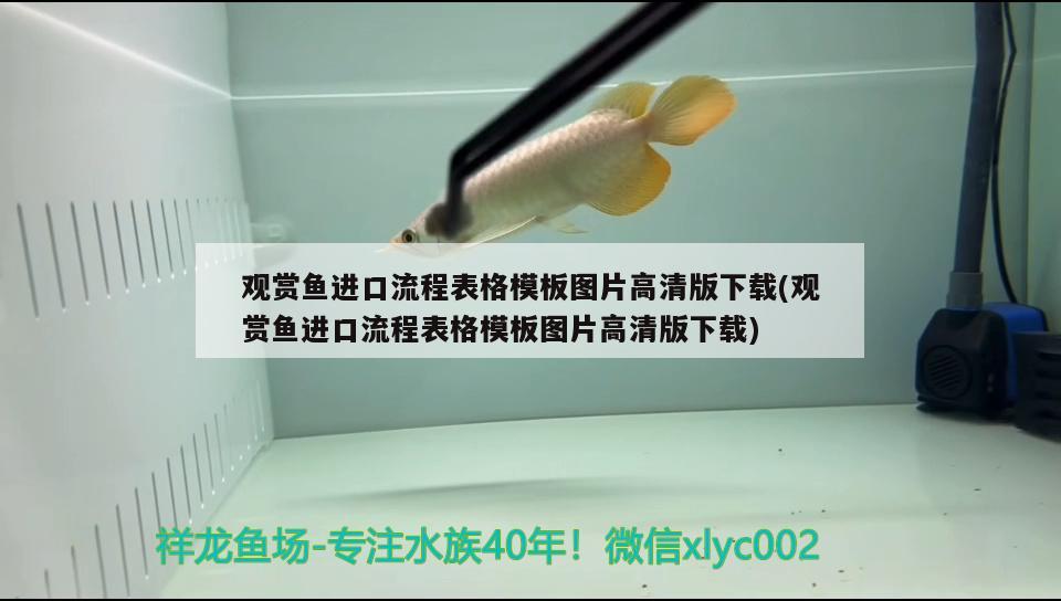 觀賞魚進(jìn)口流程表格模板圖片高清版下載(觀賞魚進(jìn)口流程表格模板圖片高清版下載) 觀賞魚進(jìn)出口