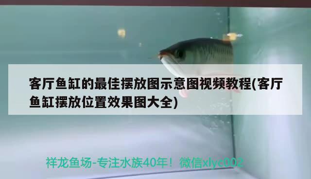 客廳魚缸的最佳擺放圖示意圖視頻教程(客廳魚缸擺放位置效果圖大全)