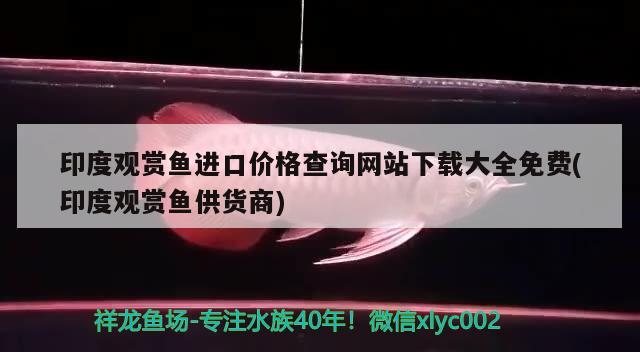 印度觀賞魚進口價格查詢網(wǎng)站下載大全免費(印度觀賞魚供貨商) 觀賞魚進出口