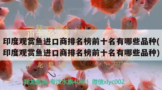 印度觀賞魚進(jìn)口商排名榜前十名有哪些品種(印度觀賞魚進(jìn)口商排名榜前十名有哪些品種) 觀賞魚進(jìn)出口 第2張