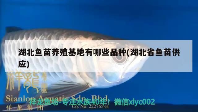 湖北魚苗養(yǎng)殖有哪些品種(湖北省魚苗供應) 水族燈（魚缸燈）