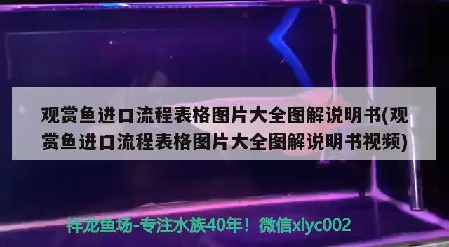 觀賞魚進口流程表格圖片大全圖解說明書(觀賞魚進口流程表格圖片大全圖解說明書視頻)