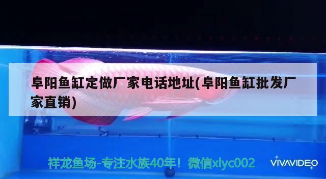 阜陽魚缸定做廠家電話地址(阜陽魚缸批發(fā)廠家直銷)