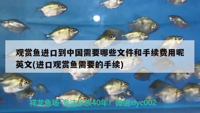 觀賞魚進(jìn)口到中國(guó)需要哪些文件和手續(xù)費(fèi)用呢英文(進(jìn)口觀賞魚需要的手續(xù)) 觀賞魚進(jìn)出口 第2張