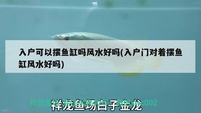 入戶可以擺魚缸嗎風(fēng)水好嗎(入戶門對(duì)著擺魚缸風(fēng)水好嗎) 魚缸風(fēng)水