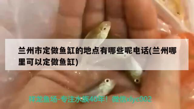 蘭州市定做魚缸的地點(diǎn)有哪些呢電話(蘭州哪里可以定做魚缸)