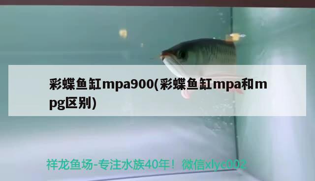 彩蝶魚缸mpa900(彩蝶魚缸mpa和mpg區(qū)別) 野彩魚