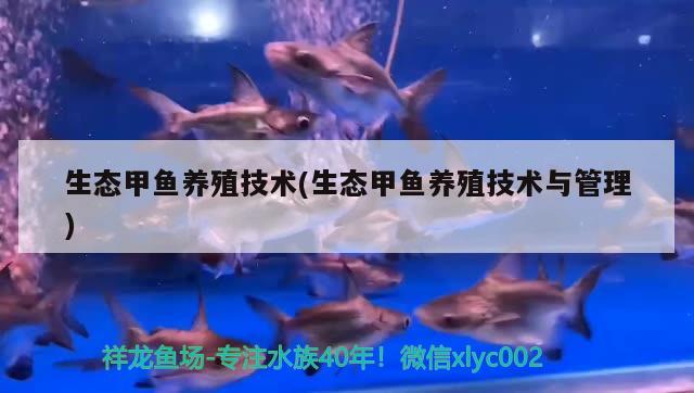 生態(tài)甲魚養(yǎng)殖技術(shù)(生態(tài)甲魚養(yǎng)殖技術(shù)與管理)