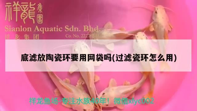 底濾放陶瓷環(huán)要用網(wǎng)袋嗎(過濾瓷環(huán)怎么用) 魟魚百科