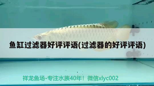 魚缸過濾器好評評語(過濾器的好評評語) 黃金河虎魚