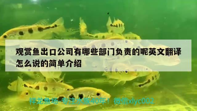 觀賞魚出口公司有哪些部門負(fù)責(zé)的呢英文翻譯怎么說的簡單介紹 觀賞魚進(jìn)出口