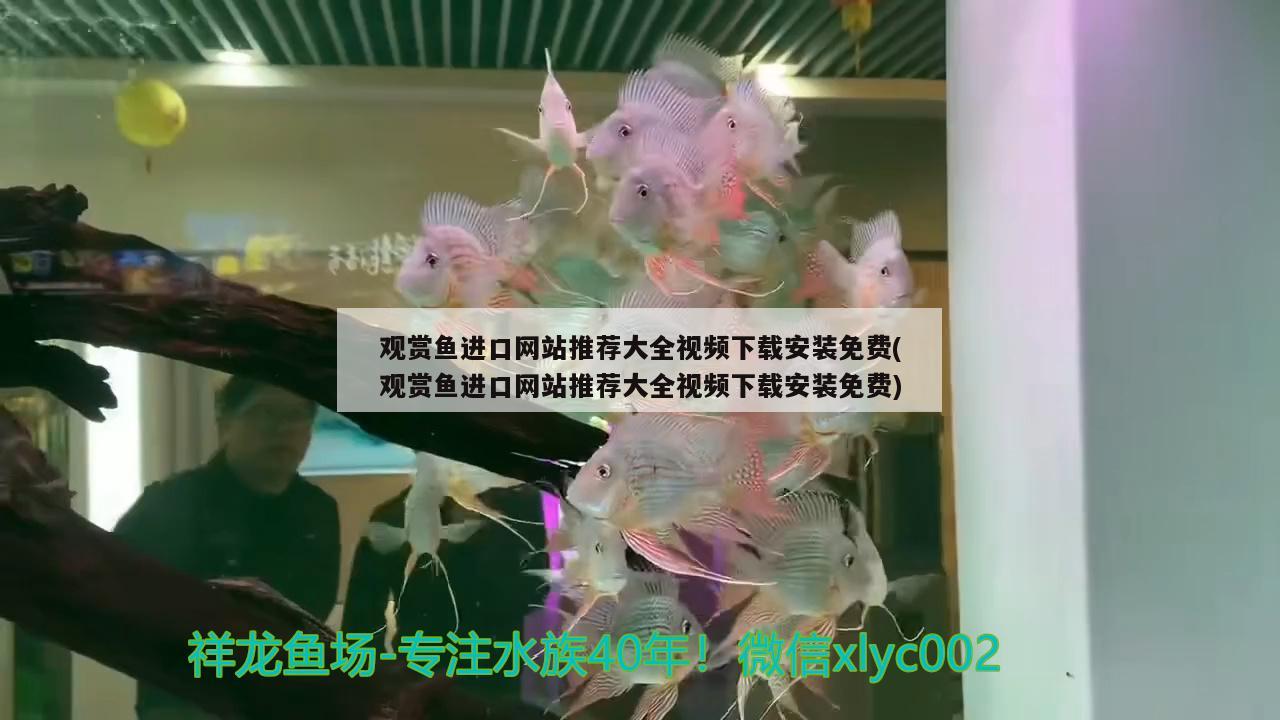 觀賞魚進(jìn)口網(wǎng)站推薦大全視頻下載安裝免費(觀賞魚進(jìn)口網(wǎng)站推薦大全視頻下載安裝免費)