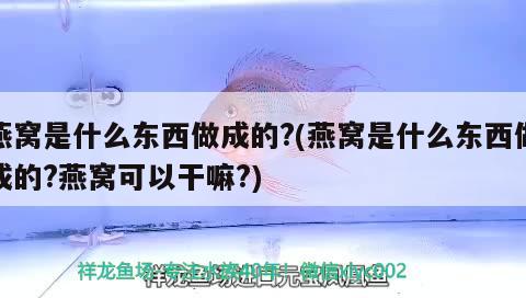 燕窩是什么東西做成的?(燕窩是什么東西做成的?燕窩可以干嘛?) 馬來(lái)西亞燕窩