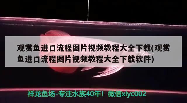 觀賞魚(yú)進(jìn)口流程圖片視頻教程大全下載(觀賞魚(yú)進(jìn)口流程圖片視頻教程大全下載軟件)