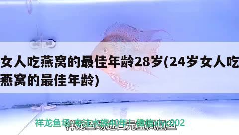 女人吃燕窩的最佳年齡28歲(24歲女人吃燕窩的最佳年齡) 馬來西亞燕窩