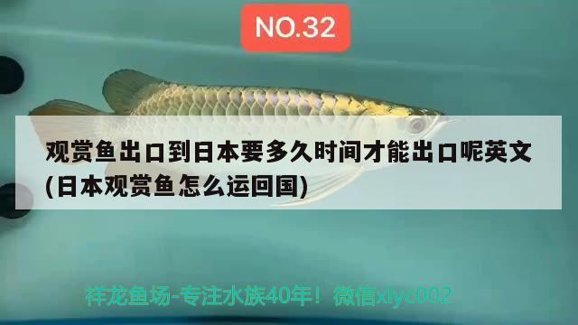 觀賞魚出口到日本要多久時間才能出口呢英文(日本觀賞魚怎么運回國) 觀賞魚進出口