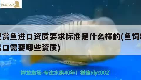 觀賞魚進(jìn)口資質(zhì)要求標(biāo)準(zhǔn)是什么樣的(魚飼料出口需要哪些資質(zhì))