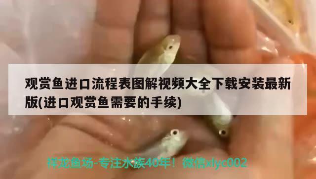 觀賞魚進口流程表圖解視頻大全下載安裝最新版(進口觀賞魚需要的手續(xù)) 觀賞魚進出口 第1張