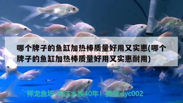 哪個牌子的魚缸加熱棒質(zhì)量好用又實惠(哪個牌子的魚缸加熱棒質(zhì)量好用又實惠耐用)