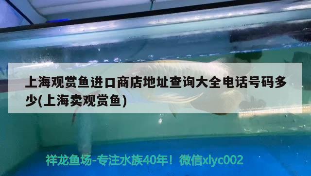 上海觀賞魚(yú)進(jìn)口商店地址查詢(xún)大全電話號(hào)碼多少(上海賣(mài)觀賞魚(yú))