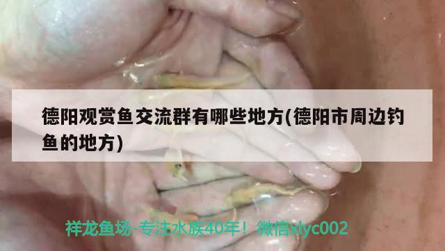 德陽觀賞魚交流群有哪些地方(德陽市周邊釣魚的地方) 垂釣樂園