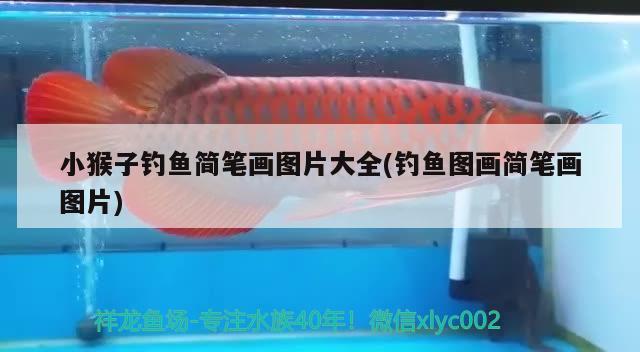 小猴子釣魚簡筆畫圖片大全(釣魚圖畫簡筆畫圖片) 垂釣樂園