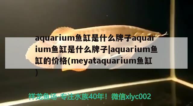 aquarium魚缸是什么牌子aquarium魚缸是什么牌子aquarium魚缸的價格(meyataquarium魚缸) 帝王迷宮