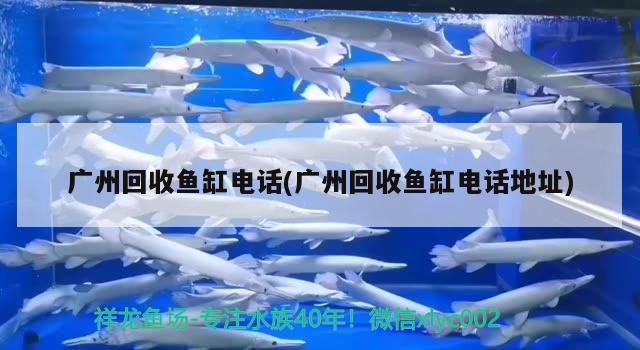 廣州回收魚缸電話(廣州回收魚缸電話地址)