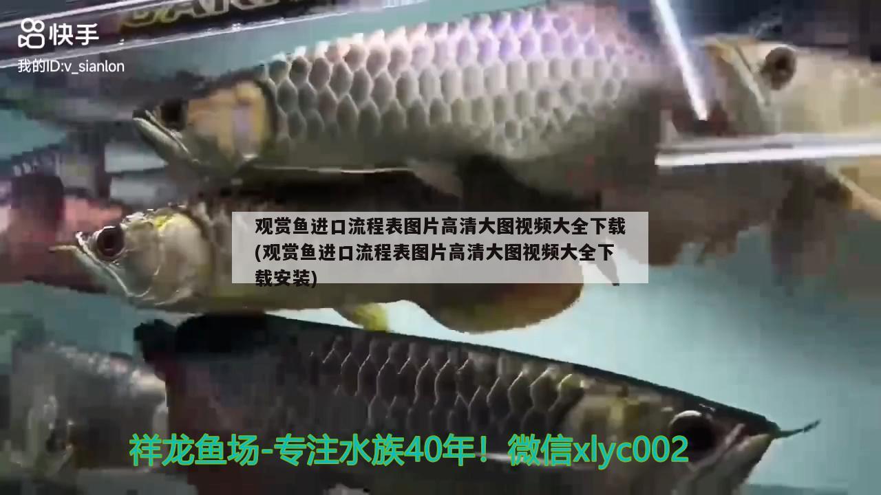 觀賞魚進(jìn)口流程表圖片高清大圖視頻大全下載(觀賞魚進(jìn)口流程表圖片高清大圖視頻大全下載安裝) 觀賞魚進(jìn)出口