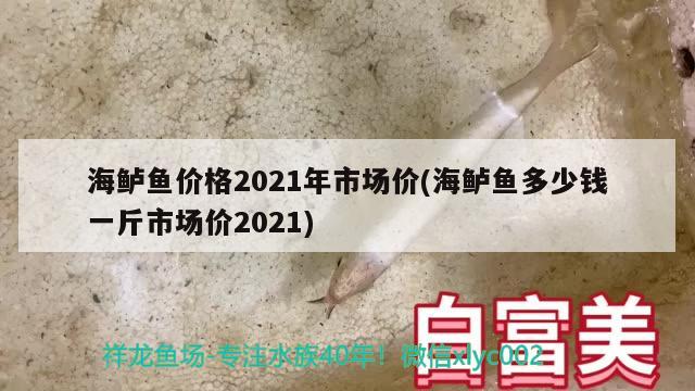 海鱸魚價格2021年市場價(海鱸魚多少錢一斤市場價2021) 魚缸水泵