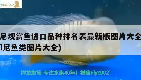 印尼觀賞魚進(jìn)口品種排名表最新版圖片大全集(印尼魚類圖片大全) 觀賞魚進(jìn)出口