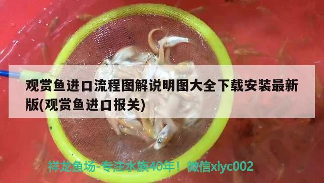 觀賞魚進(jìn)口流程圖解說明圖大全下載安裝最新版(觀賞魚進(jìn)口報(bào)關(guān))