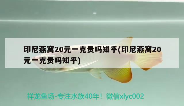 印尼燕窩20元一克貴嗎知乎(印尼燕窩20元一克貴嗎知乎) 馬來西亞燕窩